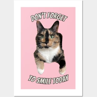 Snickers the smiling cat Posters and Art